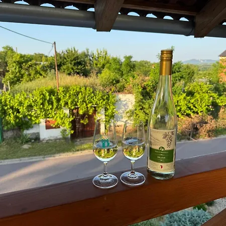Sebina Zarucujici Absolutni Soukromi A Klid S Lahvi Vina Jako Darek *